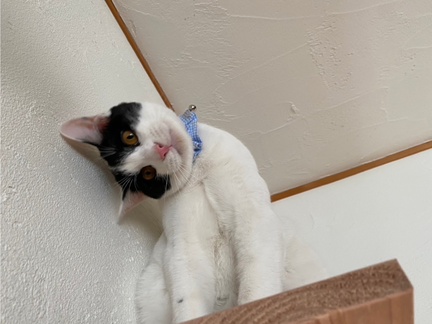 5B6F09D3-E1E8-40B9-86BD-048BBB9EA9C0